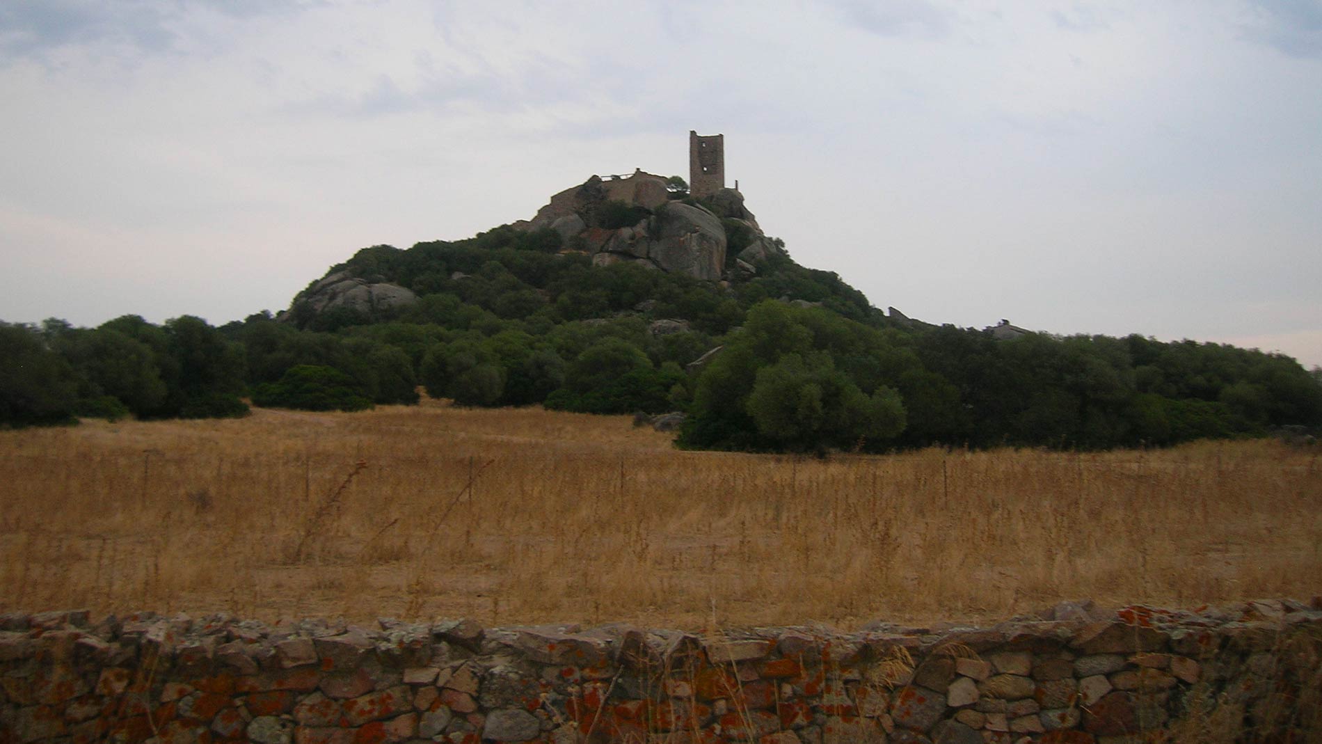 il castello di pedres