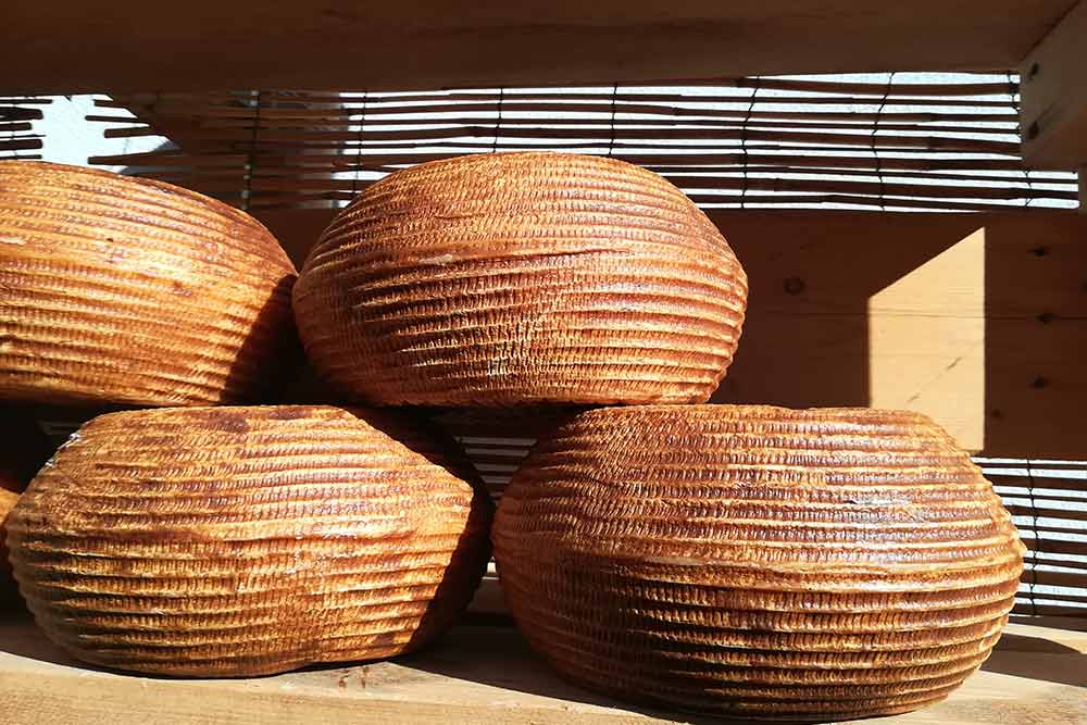 Quattro forme di pecorino sardo
