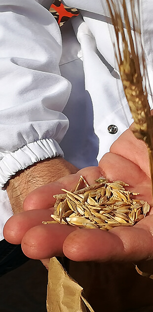 percorsi enogastronomici in sardegna con guida