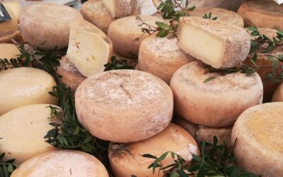 Il formaggio: le origini