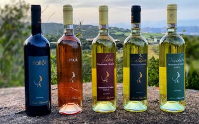 INTERVISTA ALLE CANTINE FILIGHEDDU