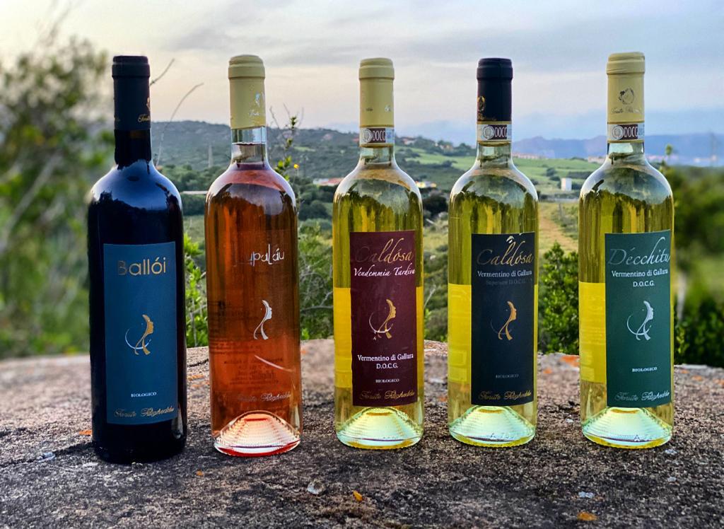 Vini copertina Cinque bottigli diCinque bottiglie di vino sopra una roccia, dietro il territorio. Da destra un rosso, un rosato e tre bianchi.