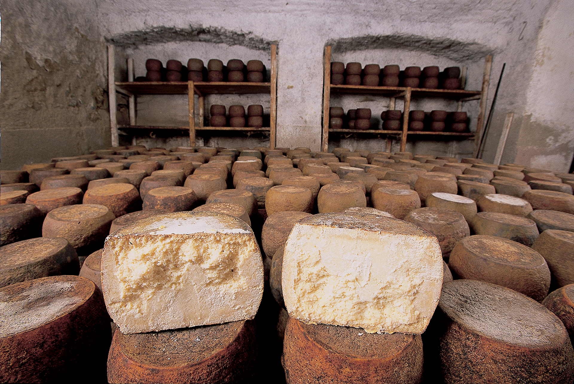 Fiore Sardo Messi in fila forme di Fiore Sardo dentro una cantina