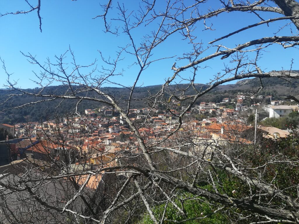 Foto panoramica di Santu Lussurgiu. In un anfiteatro naturale si trova il paese, circondato da boschi e colline.