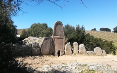 Siti, musei, luoghi della cultura, fruizione, tutela