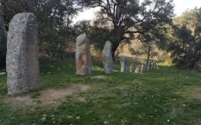 Mandrolisai. Una D.O.C. un territorio unico